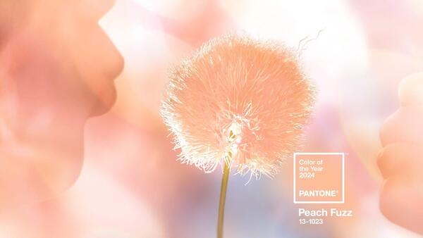 pantone-coy2024-wallpaper-download-peachfuzzhero-1536x864.jpg